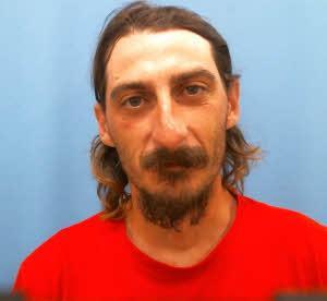 Mugshot of WOLLENZIEN, MICHAEL