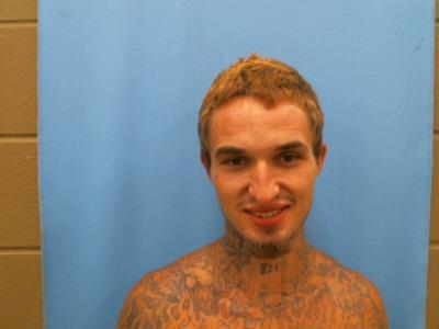 Mugshot of WHITE, TAYLOR