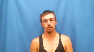 Mugshot of HARRISON, MICHAEL